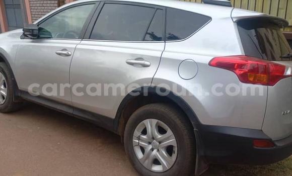 Buy Used Toyota RAV4 Silver Car in Yaounde in Central Cameroon Buy Used Toyota RAV4 Silver Car in Yaounde in Central Cameroon