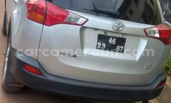 Buy Used Toyota RAV4 Silver Car in Yaounde in Central Cameroon Buy Used Toyota RAV4 Silver Car in Yaounde in Central Cameroon