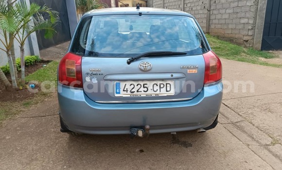 Sayi Na hannu Toyota Yaris Blue Mota in Yaounde a Babban Kamaru Sayi Na hannu Toyota Yaris Blue Mota in Yaounde a Babban Kamaru