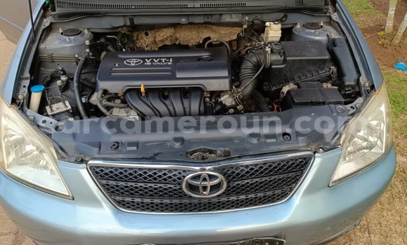Sayi Na hannu Toyota Yaris Blue Mota in Yaounde a Babban Kamaru Sayi Na hannu Toyota Yaris Blue Mota in Yaounde a Babban Kamaru