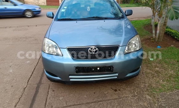 Sayi Na hannu Toyota Yaris Blue Mota in Yaounde a Babban Kamaru Sayi Na hannu Toyota Yaris Blue Mota in Yaounde a Babban Kamaru