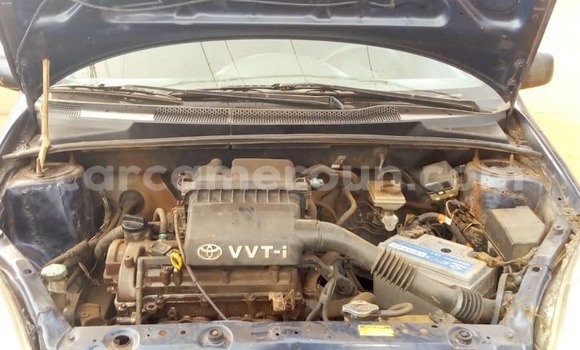 Sayi Na hannu Toyota Yaris Blue Mota in Yaounde a Babban Kamaru