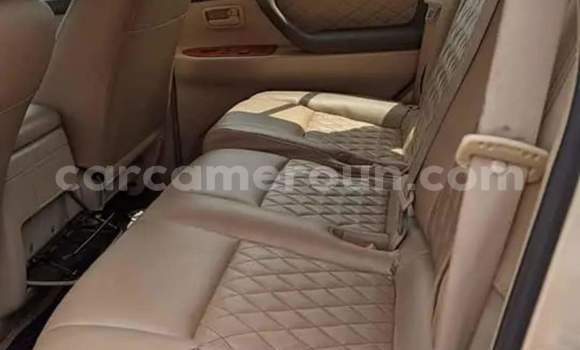 Acheter Occasion Voiture Toyota Land Cruiser Autre à Yaoundé, Central Cameroon Acheter Occasion Voiture Toyota Land Cruiser Autre à Yaoundé, Central Cameroon