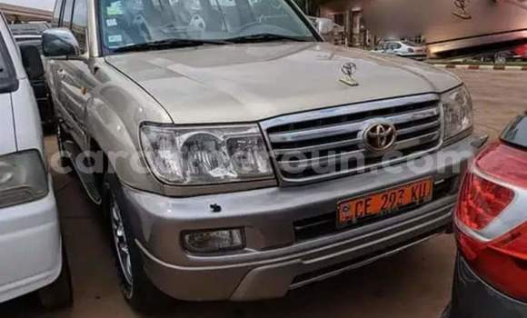Acheter Occasion Voiture Toyota Land Cruiser Autre à Yaoundé, Central Cameroon Acheter Occasion Voiture Toyota Land Cruiser Autre à Yaoundé, Central Cameroon
