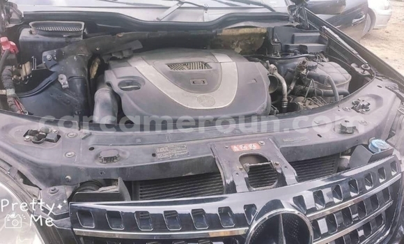 Buy Used Mercedes‒Benz ML–Class Black Car in Yaounde in Central Cameroon Buy Used Mercedes‒Benz ML–Class Black Car in Yaounde in Central Cameroon