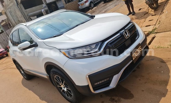 Buy Used Honda CR–V White Car in Yaounde in Central Cameroon Buy Used Honda CR–V White Car in Yaounde in Central Cameroon