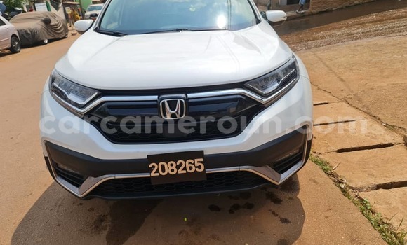 Buy Used Honda CR–V White Car in Yaounde in Central Cameroon Buy Used Honda CR–V White Car in Yaounde in Central Cameroon