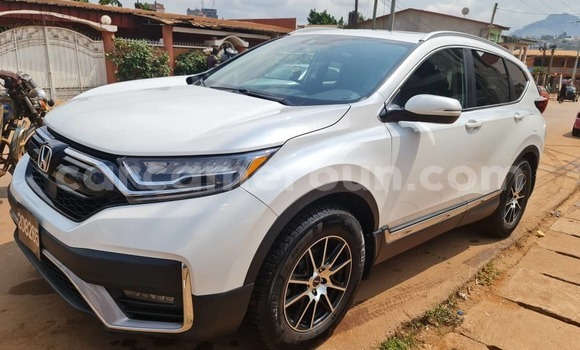 Buy Used Honda CR–V White Car in Yaounde in Central Cameroon Buy Used Honda CR–V White Car in Yaounde in Central Cameroon