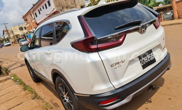 Buy Used Honda CR–V White Car in Yaounde in Central Cameroon Buy Used Honda CR–V White Car in Yaounde in Central Cameroon