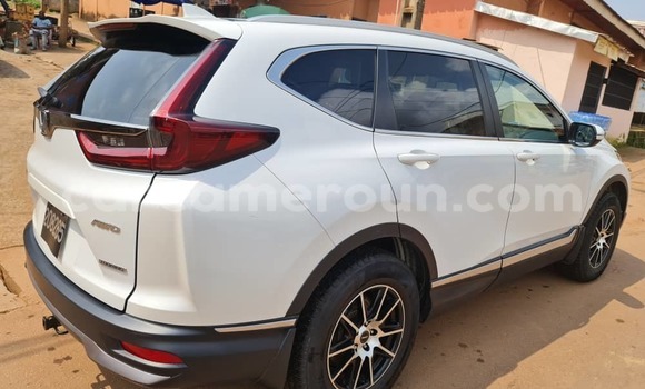 Buy Used Honda CR–V White Car in Yaounde in Central Cameroon Buy Used Honda CR–V White Car in Yaounde in Central Cameroon