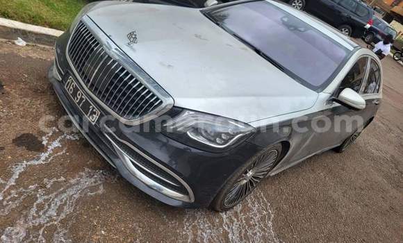 Acheter Occasion Voiture Mercedes‒Benz Maybach S-klasse Gris à Yaoundé, Central Cameroon