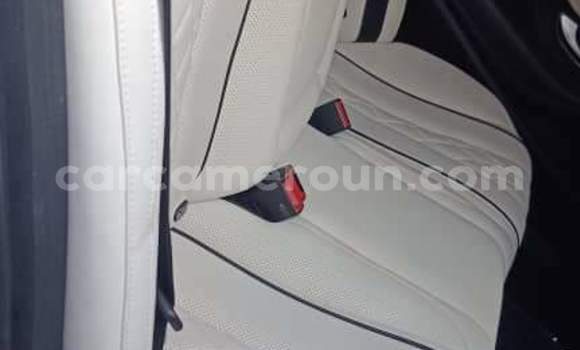 Sayi Na hannu Mercedes‒Benz Maybach S-klasse Azurfa Mota in Yaounde a Babban Kamaru Sayi Na hannu Mercedes‒Benz Maybach S-klasse Azurfa Mota in Yaounde a Babban Kamaru