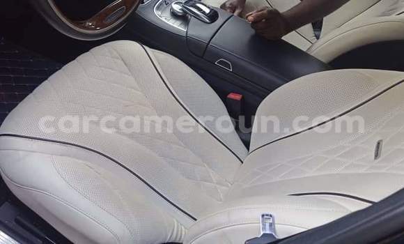 Sayi Na hannu Mercedes‒Benz Maybach S-klasse Azurfa Mota in Yaounde a Babban Kamaru Sayi Na hannu Mercedes‒Benz Maybach S-klasse Azurfa Mota in Yaounde a Babban Kamaru