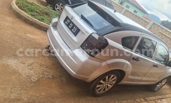 Buy Used Dodge Caliber Silver Car in Yaounde in Central Cameroon Buy Used Dodge Caliber Silver Car in Yaounde in Central Cameroon