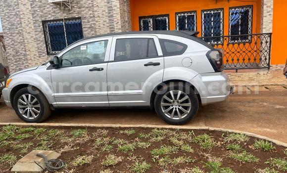 Buy Used Dodge Caliber Silver Car in Yaounde in Central Cameroon Buy Used Dodge Caliber Silver Car in Yaounde in Central Cameroon