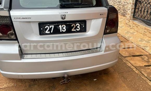 Buy Used Dodge Caliber Silver Car in Yaounde in Central Cameroon Buy Used Dodge Caliber Silver Car in Yaounde in Central Cameroon