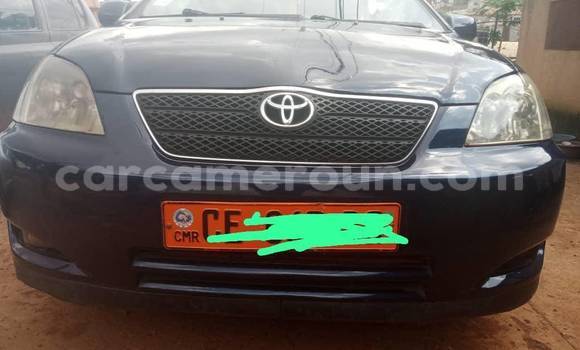Buy Used Toyota Corolla Other Car in Yaounde in Central Cameroon