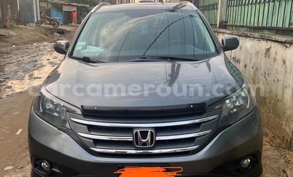 Sayi Na hannu Honda CR–V Azurfa Mota in Douala a Ƙasar Kamaru