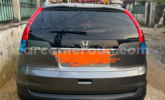 Sayi Na hannu Honda CR–V Azurfa Mota in Douala a Ƙasar Kamaru Sayi Na hannu Honda CR–V Azurfa Mota in Douala a Ƙasar Kamaru