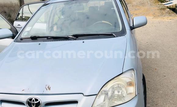 Buy Used Toyota Corolla Silver Car in Douala in Littoral Cameroon Buy Used Toyota Corolla Silver Car in Douala in Littoral Cameroon