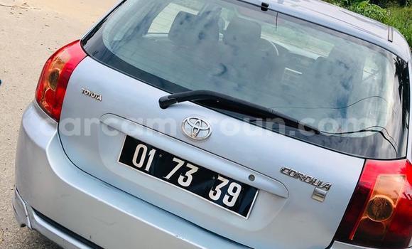 Buy Used Toyota Corolla Silver Car in Douala in Littoral Cameroon Buy Used Toyota Corolla Silver Car in Douala in Littoral Cameroon