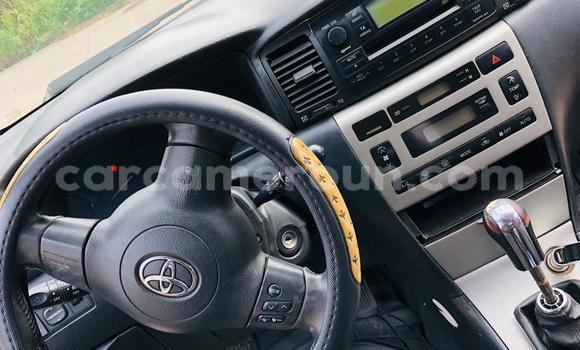 Buy Used Toyota Corolla Silver Car in Douala in Littoral Cameroon Buy Used Toyota Corolla Silver Car in Douala in Littoral Cameroon
