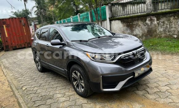 Acheter Import Voiture Honda CR–V Gris à Douala, Littoral Cameroon