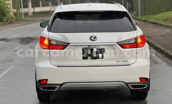 Buy Import Lexus RX 350 White Car in Douala in Littoral Cameroon Buy Import Lexus RX 350 White Car in Douala in Littoral Cameroon
