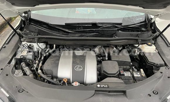 Buy Import Lexus RX 350 White Car in Douala in Littoral Cameroon Buy Import Lexus RX 350 White Car in Douala in Littoral Cameroon