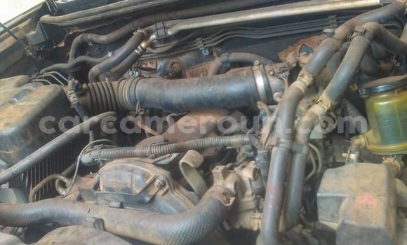 Sayi Na hannu AMC Hornet Azurfa Mota in Yaounde a Babban Kamaru