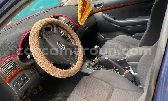 Sayi Na hannu Toyota Avensis Blue Mota in Yaounde a Babban Kamaru Sayi Na hannu Toyota Avensis Blue Mota in Yaounde a Babban Kamaru