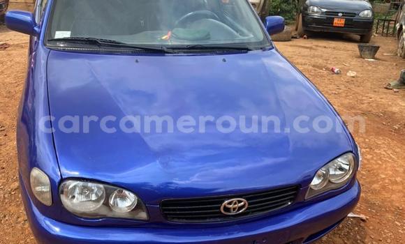 Buy Used Toyota Corolla Blue Car in Yaounde in Central Cameroon Buy Used Toyota Corolla Blue Car in Yaounde in Central Cameroon