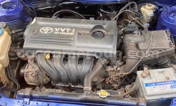 Buy Used Toyota Corolla Blue Car in Yaounde in Central Cameroon Buy Used Toyota Corolla Blue Car in Yaounde in Central Cameroon