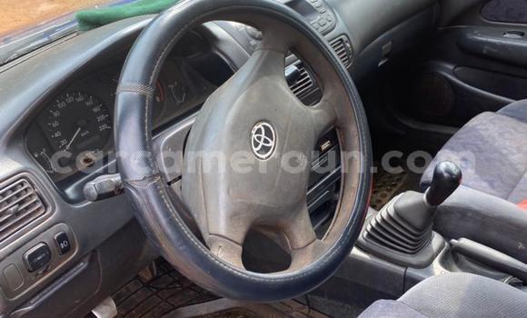 Buy Used Toyota Corolla Blue Car in Yaounde in Central Cameroon Buy Used Toyota Corolla Blue Car in Yaounde in Central Cameroon