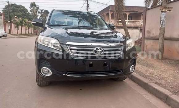 Buy Used Toyota Vanguard Black Car in Yaounde in Central Cameroon Buy Used Toyota Vanguard Black Car in Yaounde in Central Cameroon
