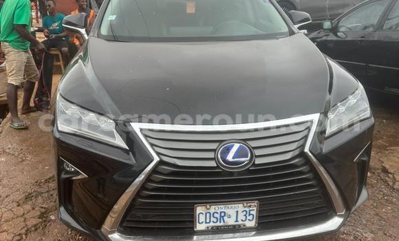 Sayi Na hannu Lexus RX Brown Mota in Yaounde a Babban Kamaru Sayi Na hannu Lexus RX Brown Mota in Yaounde a Babban Kamaru