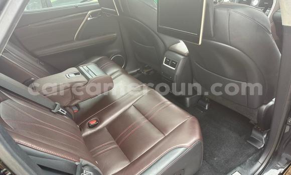 Sayi Na hannu Lexus RX Brown Mota in Yaounde a Babban Kamaru Sayi Na hannu Lexus RX Brown Mota in Yaounde a Babban Kamaru