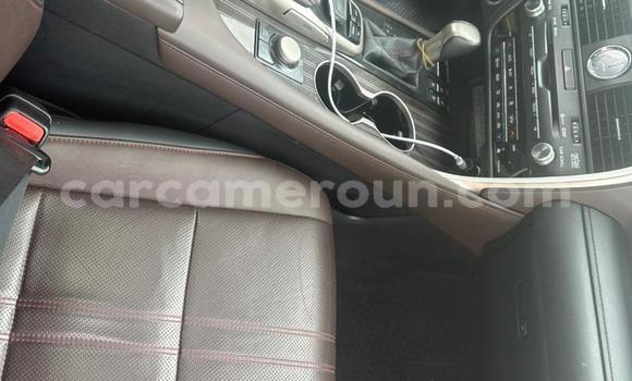 Sayi Na hannu Lexus RX Brown Mota in Yaounde a Babban Kamaru Sayi Na hannu Lexus RX Brown Mota in Yaounde a Babban Kamaru