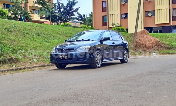 Buy Used Toyota Runx Black Car in Yaounde in Central Cameroon
