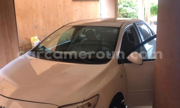Buy Used Toyota Corolla White Car in Yaounde in Central Cameroon
