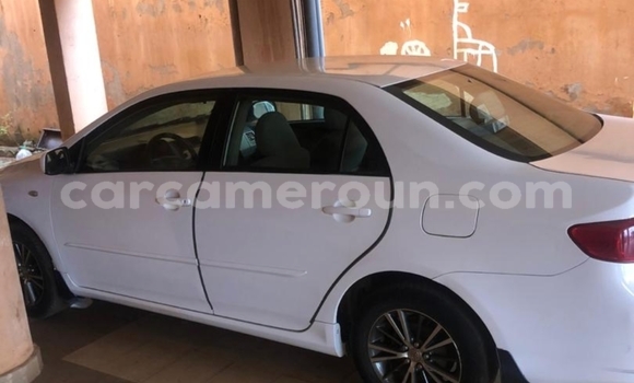 Acheter Occasion Voiture Toyota Corolla Blanc à Yaoundé, Central Cameroon Acheter Occasion Voiture Toyota Corolla Blanc à Yaoundé, Central Cameroon