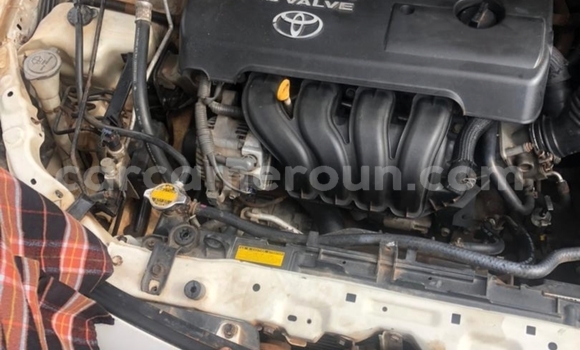 Acheter Occasion Voiture Toyota Corolla Blanc à Yaoundé, Central Cameroon Acheter Occasion Voiture Toyota Corolla Blanc à Yaoundé, Central Cameroon