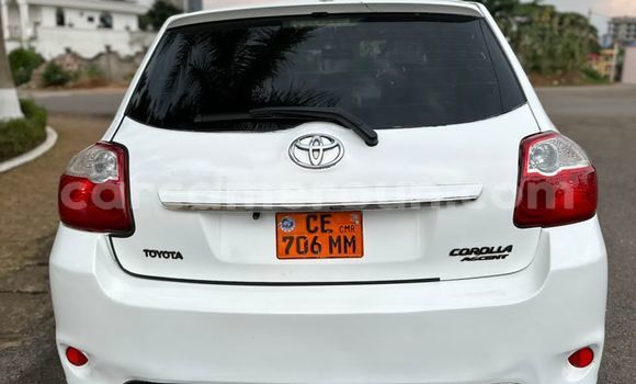 Acheter Occasion Voiture Toyota Auris Blanc à Yaoundé, Central Cameroon Acheter Occasion Voiture Toyota Auris Blanc à Yaoundé, Central Cameroon