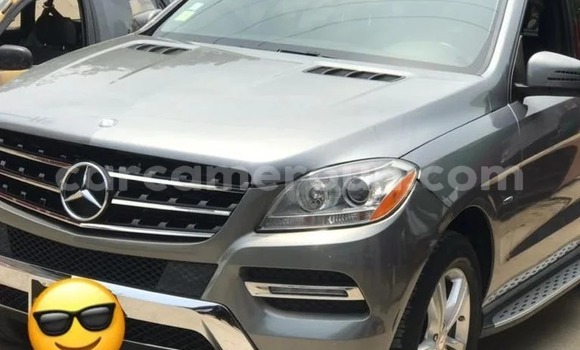 Acheter Occasion Voiture Mercedes‒Benz ML–Class Gris à Yaoundé, Central Cameroon