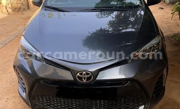 Buy Used Toyota Corolla Black Car in Yaounde in Central Cameroon