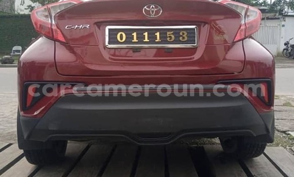 Buy Used Honda CR–V Red Car in Yaounde in Central Cameroon Buy Used Honda CR–V Red Car in Yaounde in Central Cameroon