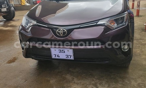 Buy Used Toyota RAV4 Other Car in Yaounde in Central Cameroon