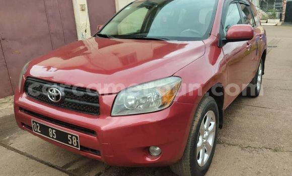 Buy Used Toyota RAV4 Red Car in Yaounde in Central Cameroon