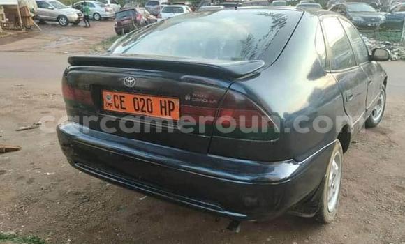 Acheter Occasion Voiture Toyota Corolla Autre à Yaoundé, Central Cameroon