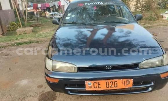Acheter Occasion Voiture Toyota Corolla Autre à Yaoundé, Central Cameroon Acheter Occasion Voiture Toyota Corolla Autre à Yaoundé, Central Cameroon